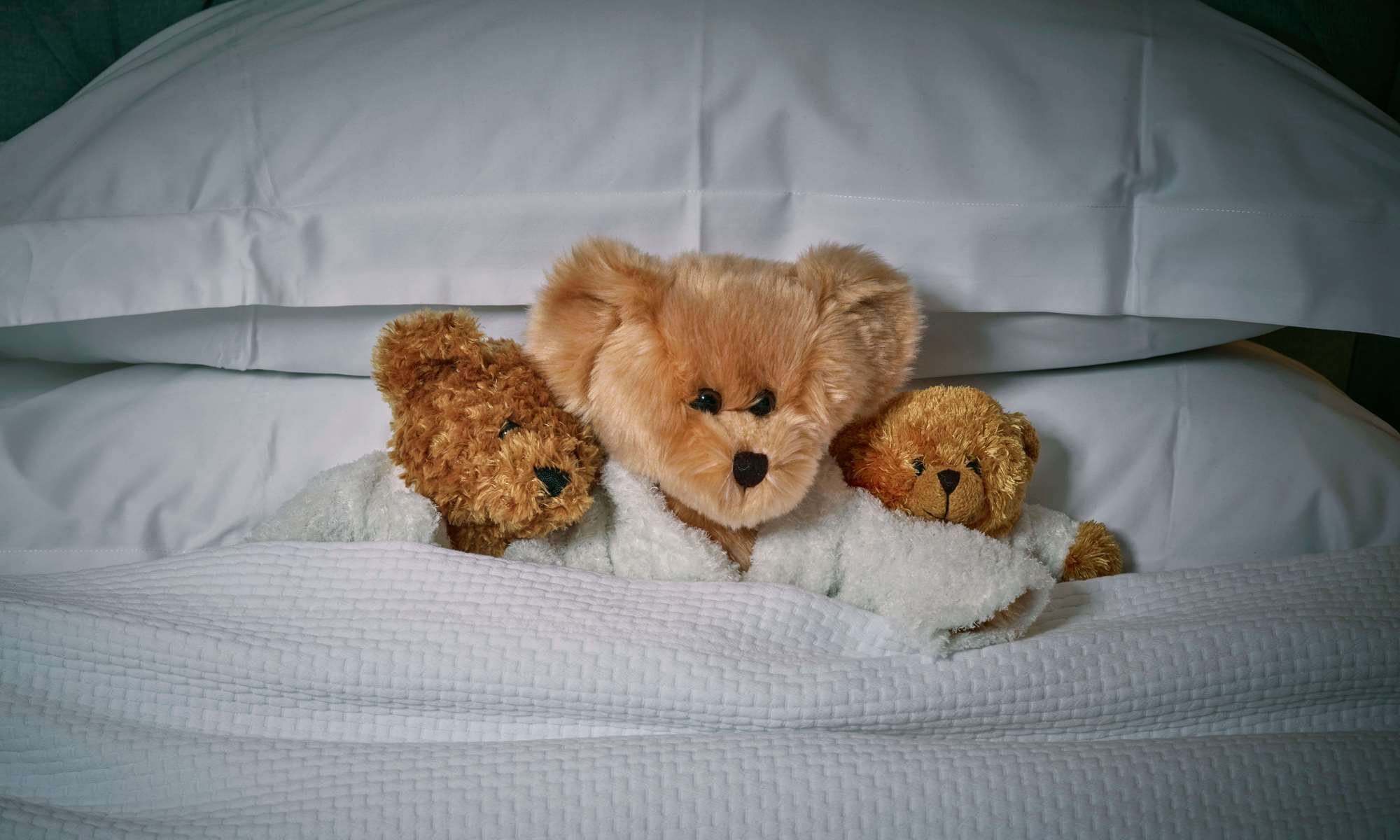 Teddy bears inside of a bed at 11 Cadogan Gardens